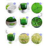 Electric Seed Germination Grower