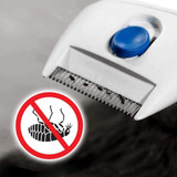 Electric Flea Remover