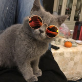 Hoomall 1PC Lovely Pet Cat Glasses Dog Glasses Pet Products For Little Dog Cat Eye-wear Dog Sunglasses Photos Pet Accessoires