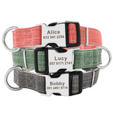 Personalized Dog Collar