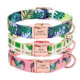 Personalized Dog Collar