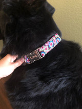 Personalized Dog Collar