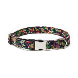 Dog Collar