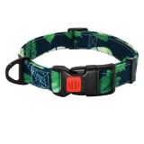 Dog Collars