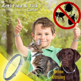 Tick & Flea Collar For Pets