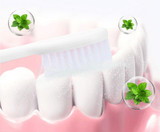 BREYLEE Teeth Whitening Powder Toothpaste Dental Teeth Cleaning Oral Hygiene Remove Plaque Tooth Whiten Brighten Powder TSLM1