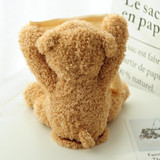 Peek-A-Boo Teddy Bear