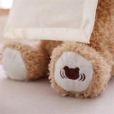 Peek-A-Boo Teddy Bear
