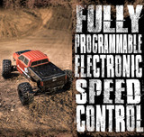 REDCAT RACING® RAMPAGE R5 1/5 SCALE BRUSHLESS ELECTRIC TRUCK RC 8s