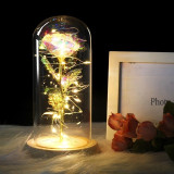 Timeless- Forever Red Rose In Glass Dome