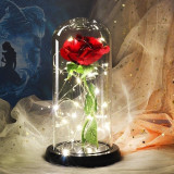 Timeless- Forever Red Rose In Glass Dome