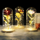 Timeless- Forever Red Rose In Glass Dome