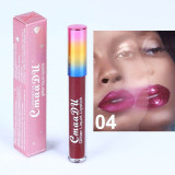 Glitter Lip Gloss Long Lasting Waterproofp