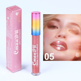 Glitter Lip Gloss Long Lasting Waterproofp