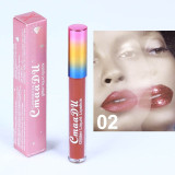 Glitter Lip Gloss Long Lasting Waterproofp