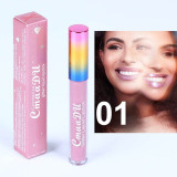 Glitter Lip Gloss Long Lasting Waterproofp