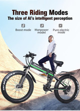 Electric Bike 48V 1000W Mountain Fat Bike Folding Fat Tire Ebike Electric Bike 48V 1000W Mountain Fat Bike Folding Fat Tire Ebike