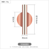 Creative wall flower ware Nordic style wall flower vase gold non perforated living room wall decoration Pendant home decore