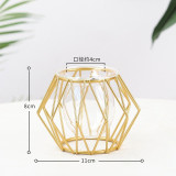Terrarium Retro Iron Line Vase Hydroponic Plant Flower Vase Home Decoration Metal Plant Holder Nordic Styles Iron Vases Ornament