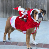 Christmas Dog Costume