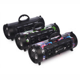 Portable Bluetooth Speaker