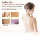 Shea Butter Body Cream Shea Butter Body Cream