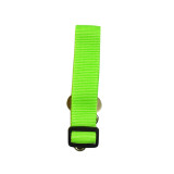 DOG SEAT BELT