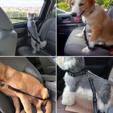 DOG SEAT BELT