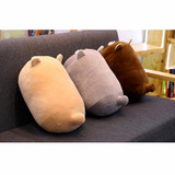 Free Hugs Cat Plush Pillow