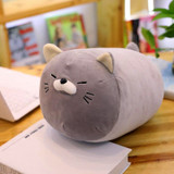 Free Hugs Cat Plush Pillow