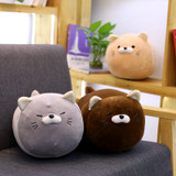 Free Hugs Cat Plush Pillow