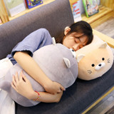 Free Hugs Cat Plush Pillow