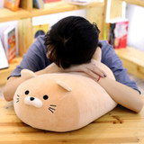 Free Hugs Cat Plush Pillow