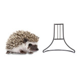 High Quality Exercise Wheel Stand for Pets   Hamster chinchillas Guinea pigs Newest 2017 2 color 1pcs