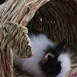 Rabbit shaped Straw house Pet Nest Straw House Rabbit Chinchillas Hamster Handmade Straw Grass Nest Pet Mat
