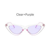 Cat Eye Fashion Sunglasses