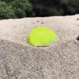 A New Spin On The Game Of Catch