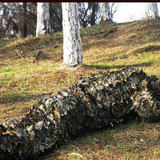 Hunting Ghillie Suit 3D Camo Bionic Leaf Linen Hunting Clothes Camouflage Jungle Woodland Birdwatching Poncho Hunting Clothing