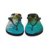 Flip-Flops