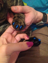 Soft Cats Nail Caps