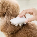 Pet Hair Remover Comb