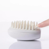 Pet Hair Remover Comb