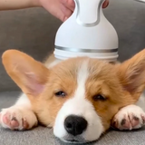 Head Massager