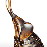 Timeless - Metal Braided Elephant Sculpture