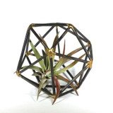 Metal Geometric