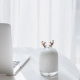 Cute Air Humidifier Aroma Essential Oil Mist Maker