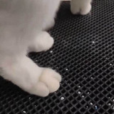 Tidy Cat Litter Mat