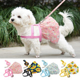 Small  Dog Leash and Harness Set