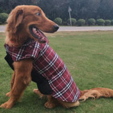 Waterproof Reversible Dog Plaid Jacket