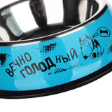 Portable Travel Stainless Steel Bowl For Feeder